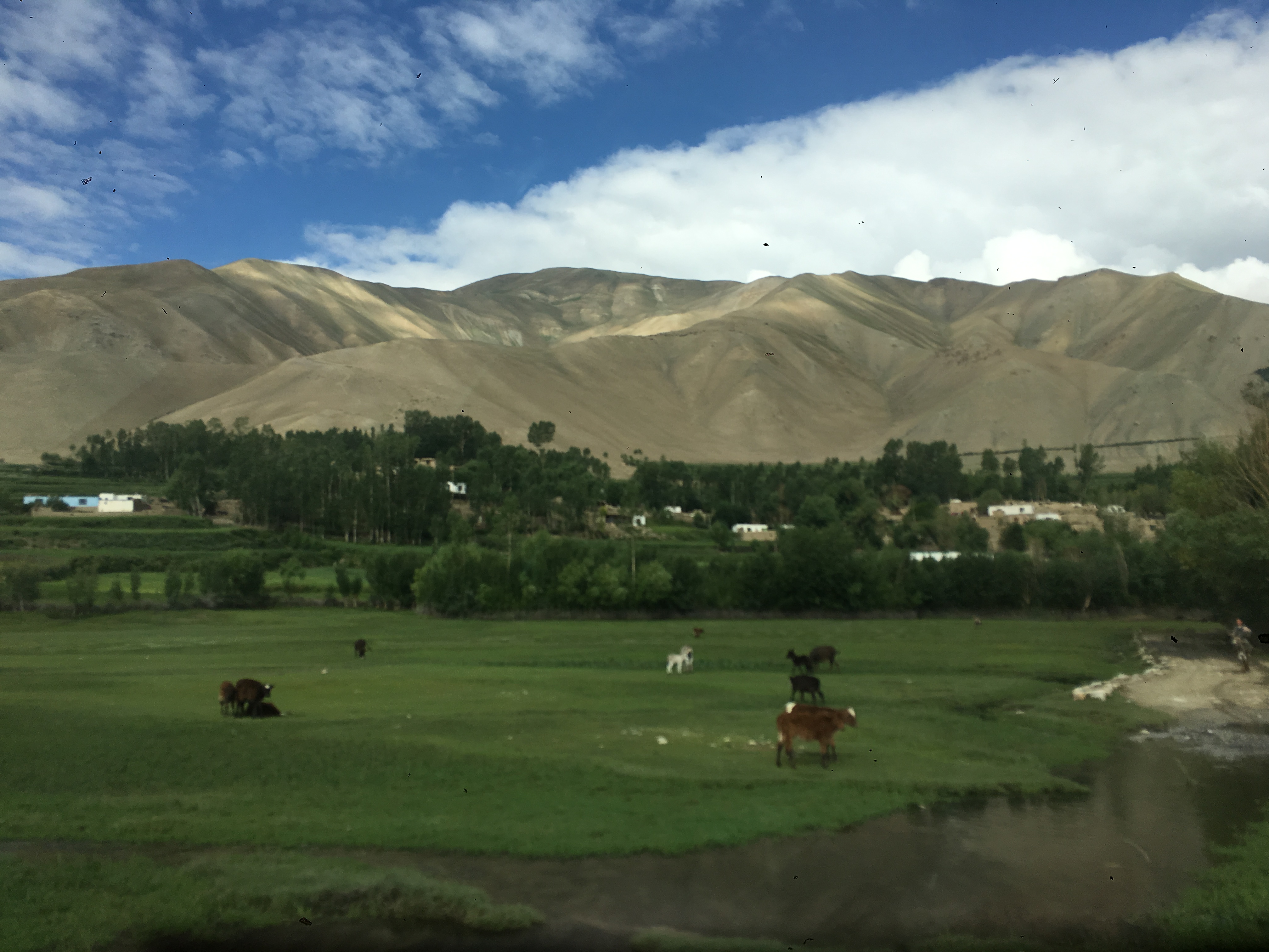 Optimizing Operational Excellence